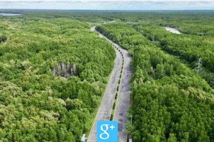 Vingroup có thể khởi công tuyến Metro hơn 4 tỉ USD nối Quận 7 - Cần Giờ đầu năm 2026
